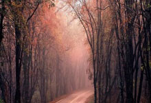 [NBA]浓眉助攻 克里斯蒂接球三分稳稳命中.