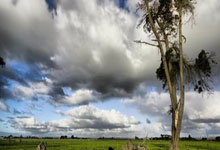 1994年3月以来，西班牙在梅斯塔利亚球场参加10场比赛从未输球.