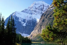 稳定，日本第四次成为全球首支通过预选赛晋级世界杯的球队.