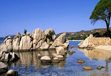 第一次！男网3人进TOP100，高于女网2人郑钦文+王欣瑜.